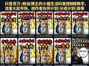 抖音百万粉丝博主的小猫生活科普视频教学,流量大起号快,创作者伙伴计划|分成计划|商单|收徒等-网赚资源网