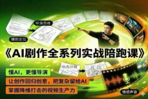 AI剧作全系列实战陪跑课，懂AI，更懂导演，让创作回归创意，把复杂留给AI，掌握降维打击的视频生产力-网赚资源网