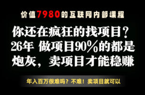 26年请不要疯狂的找项目了，卖项目远比你想象的暴利，你也可以月入10W+【揭秘】-网赚资源网