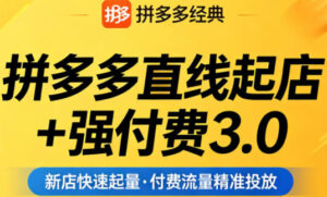 拼多多直线起店+强付费3.0，教你稳定起店、高效控投产、破解流量瓶颈（更新4月）-网赚资源网