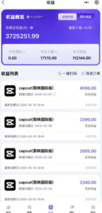 海外TikTok剪映cupcut拉新,市场广阔,潜力巨大,月入1w+,适合TK创作者的新机会-网赚资源网
