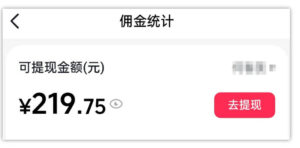 AI图文带货项目，操作2周卖出37件，已结算佣金219-网赚资源网