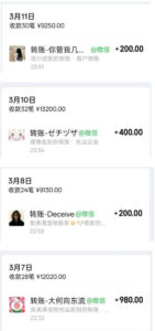 宠物托运阳光赛道賺钱教学,小众高刚需冷门项目,日均10单稳定盈利,单均利润200+-网赚资源网
