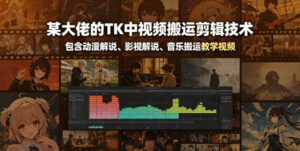某大佬的TK中视频搬运剪辑技术,包含动漫解说、影视解说、音乐搬运教学视频-网赚资源网