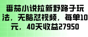番茄小说拉新野路子玩法,无脑怼视频,玩法简单、见效快,每单10米,40天收益27950-网赚资源网