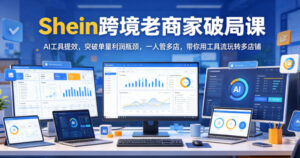Shein跨境老商家破局课,AI工具提效,突破单量利润瓶颈,一人管多店,带你用工具流玩转多店铺-网赚资源网