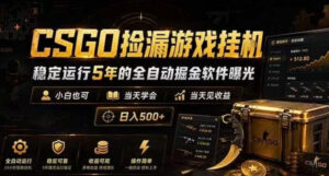 CSGO捡漏游戏挂G,稳定运行5年的全自动掘金软件曝光,小白也可当天学会,当天见收益,日入500+【揭秘】-网赚资源网