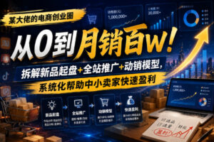 某大佬的电商创业圈从0到月销百W！拆解新品起盘+全站推广+动销模型，系统化帮助中小卖家快速盈利-网赚资源网