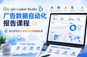Google Looker Studio广告数据自动化报告课程,成为更专业不被报告折磨的优化师-网赚资源网