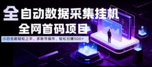 全自动数据采集挂G，全网首码项目，简单易操作，小白也能轻松上手，多账号操作，轻松日入500+【揭秘】-网赚资源网