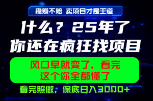 26年,请不要疯狂的找项目做了!卖项目才是真的稳賺不赔,看完照做,保底日入1k+【揭秘】-网赚资源网