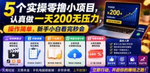 5个实操零撸小项目，认真做一天200无压力，操作简单，新手小白看完秒会【揭秘】-网赚资源网