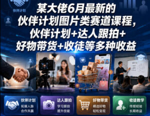 某大佬6月最新的伙伴计划图片类赛道课程，伙伴计划+达人跟拍+好物带货+收徒等多种收益-网赚资源网