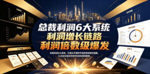 总裁利润6大系统，打通从开源到节流的利润增长链路，让企业在复杂市场中实现利润倍数级爆发-网赚资源网