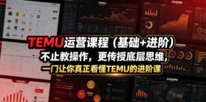 TEMU运营课程（基础+进阶），不止教操作，更传授底层思维，一门让你真正看懂TEMU的进阶课-网赚资源网