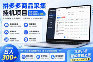 拼多多商品信息采集挂G项目,批量可矩阵,单机轻松日入300+,长期稳定【揭秘】-网赚资源网