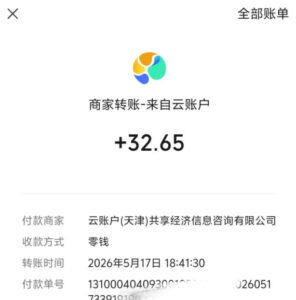 微信游戏撸广独家玩法,今天做明天就能出收益,单号日收益20+,可多号矩阵放大-网赚资源网