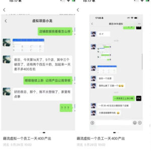 薅流虚拟2.0陪跑课，0成本AI流程化操作，淘宝+闲鱼同步玩法，上一次货两个平台有收益，单店每天200纯利润-网赚资源网