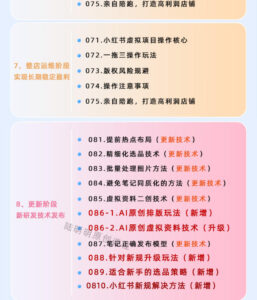 小红书虚拟项目特训班9.0,AI原创PPT技术全跑通,单品单店月纯利润几个W-网赚资源网