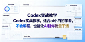 Codex实战教学,适合ai小白初学者,不会编程,也能让AI替你批量干活-网赚资源网