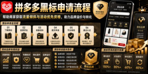 拼多多黑标申请流程,帮助商家获取流量倾斜与活动优先资格,助力品牌溢价与转化-网赚资源网