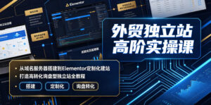 外贸独立站高阶实操课|从域名服务器搭建到Elementor定制化建站,打造高转化询盘型独立站全教程-网赚资源网