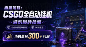 自营项目:CSGO全自动挂G,游戏搬砖捡漏,软件科技简单易用,长期稳定,小白单日300+利润【揭秘】-网赚资源网