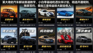 某大佬的汽车解说赛道教学,小白零基础吃透伙伴计划、精选开通规则、独家签约,叠加三重收益放大副业收入-网赚资源网