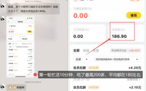 【大羊毛】几分钟30-40r,【流量体联盟】,可以矩阵,操作无脑简单-网赚资源网