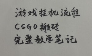 游戏挂G全流程笔记分享,CSGO游戏搬砖,小白看了当天学会见收益【揭秘】-网赚资源网