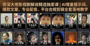 资深大佬影视剧解说精选独家课|AI增量提示词、爆款文案、专业配音、平台合规剪辑全套落地教学-网赚资源网