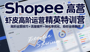 Shopee虾皮高阶运营精英特训营，高阶运营技巧+流量提升+转化率优化，助你业绩翻倍（更新26年7月）-网赚资源网
