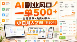 AI副业风口,一单500+,全程派单+免费AI软件,小白月入2W【附SOP】【揭秘】-网赚资源网