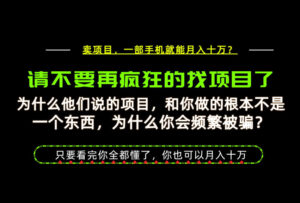 为什么做项目的人大多都是炮灰？为什么只有卖项目才能稳？看完你也可以月入10W+【揭秘】-网赚资源网