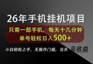 长期稳定可做,只需一部手机!单号轻松日入500+,不搞套路,只讲干货!【揭秘】-网赚资源网