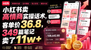 小红书卖高情商实操话术,客单价36.8,349篇笔记卖了11w+!-网赚资源网
