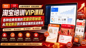 淘宝培训VIP课程,各种经典有用的流量获取秘籍,从淘宝新店到天猫店铺的实战教程(更新08月12日)-网赚资源网