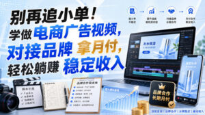 别再追小单!学做电商广告视频,对接品牌拿月付,轻松躺賺稳定收入【原创双语字幕】-网赚资源网