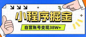 微信小程序掘金，团队自营小程序累计变现38W+，稳定运营三年，一部手机即可操作【揭秘】-网赚资源网