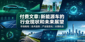 付费文章:新能原车的行业现状和未来展望-网赚资源网