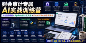 财会审计专属AI实战训练营｜AI协同编程+Python审计工具箱+Excel VBA加载项落地（更新0816）-网赚资源网
