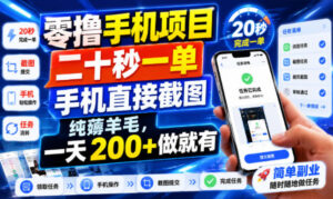 零撸手机项目,二十秒一单,手机直接截图,纯薅羊毛,一天200+做就有【揭秘】-网赚资源网