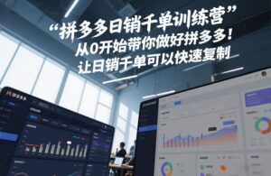 拼多多日销千单训练营,从0开始带你做好拼多多,让日销千单可以快速复制(更新26年7月)-网赚资源网