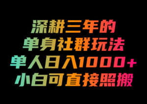 深耕三年的单身社群玩法,单人日入1000+,小白可直接照搬!【揭秘】-网赚资源网
