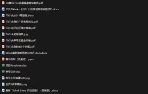 TikTok从0-1实操资料包:养号SOP+爆款公式+投流手册,新手30天可起号变现,抓住TikTok流量红利-网赚资源网