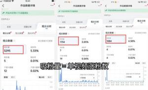 苗子起号涨粉实战变现训练营，多类目零基础爆款起号、精准起号节奏、新手稳涨粉可落地变现全课（更新0719）-网赚资源网