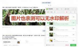 太香了!这款千问视频/图片去水印神器,一键搞定烦人水印,本地完全免费,浏览器拓展插件-网赚资源网