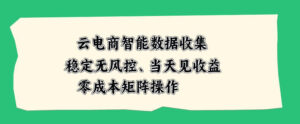 云电商智能数据收集,稳定无风控,当天做当天见收益,零成本矩阵操作【揭秘】-网赚资源网