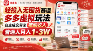 轻投入无囤货赛道,多多虚拟玩法自主成交带来被动收入,普通人月入1-3W-网赚资源网