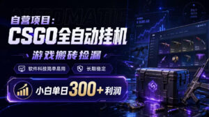 自营项目：CSGO全自动挂G，游戏搬砖捡漏，软件科技简单易用，长期稳定，小白单日300+利润【揭秘】-网赚资源网